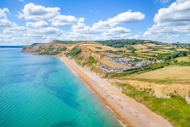 Best Dog Friendly Beaches Dorset