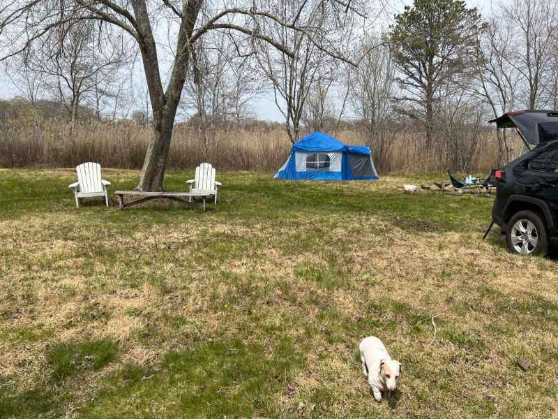 Best Dog Friendly Campgrounds