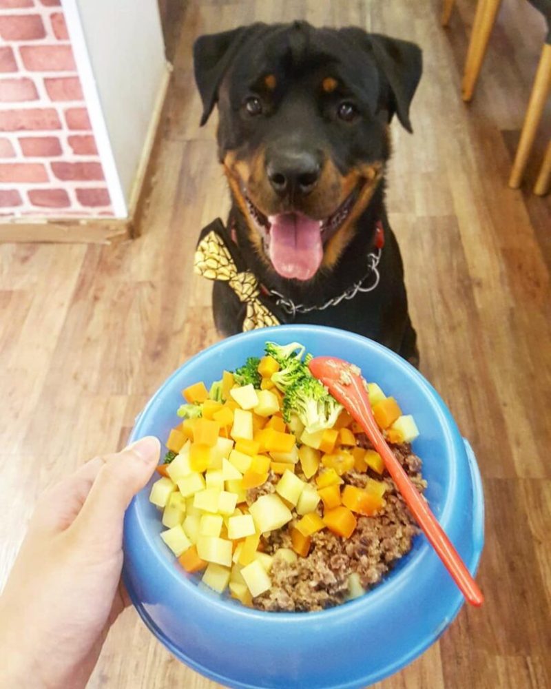 Best Dog Friendly Food Near Me