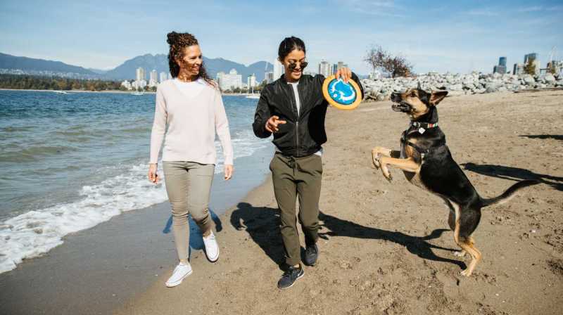 Best Dog Friendly Hikes Vancouver