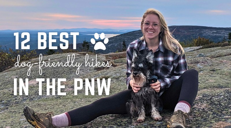 Best Dog Friendly Hikes