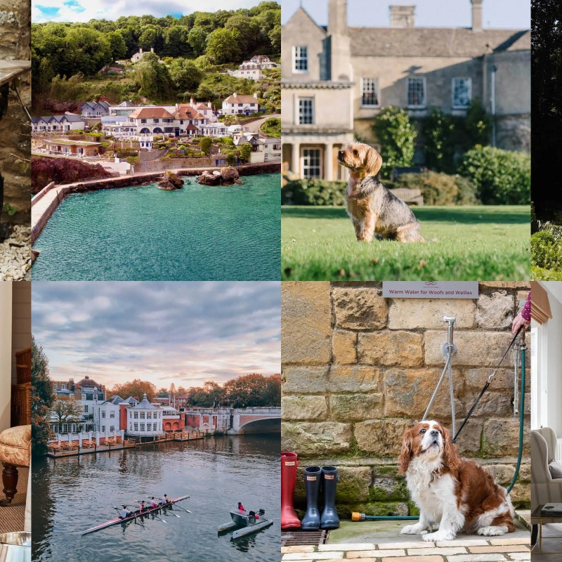 Best Dog Friendly Hotels Devon