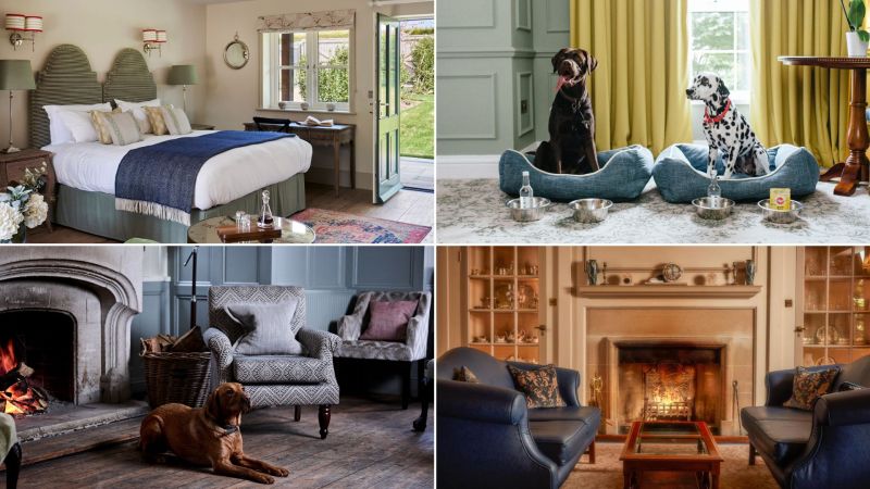 Best Dog Friendly Hotels Suffolk Coast