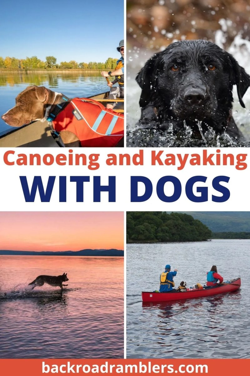 Best Dog-friendly Kayaks