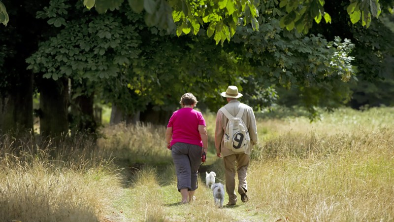 Best Dog Friendly Museums Uk