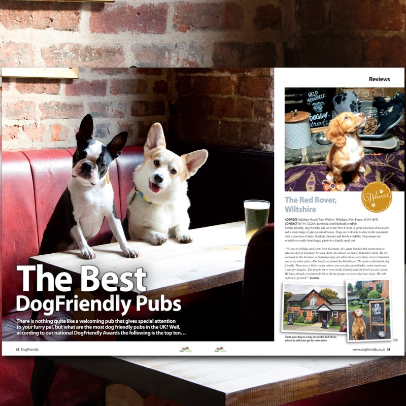 Best Dog Friendly Pubs Yorkshire