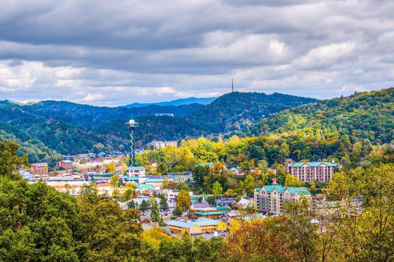 Best Dog Friendly Resorts In Gatlinburg