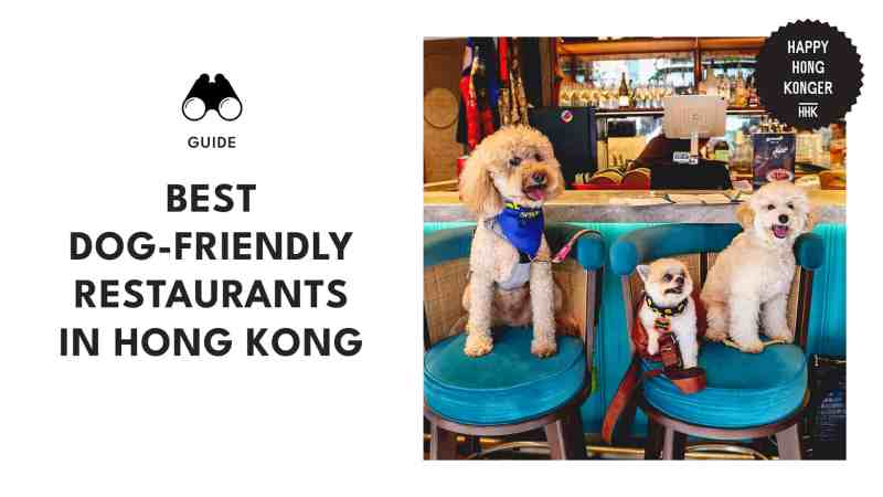 Best Dog Friendly Restaurants