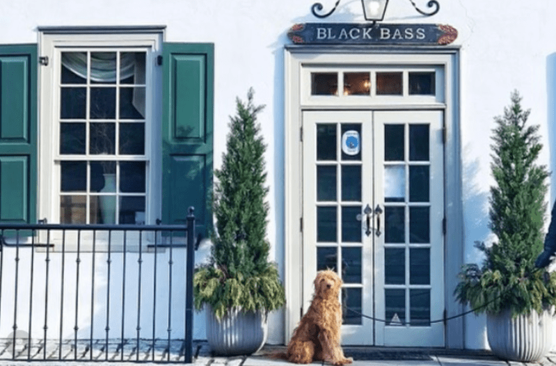 Best Pet Friendly Resorts In Pennsylvania