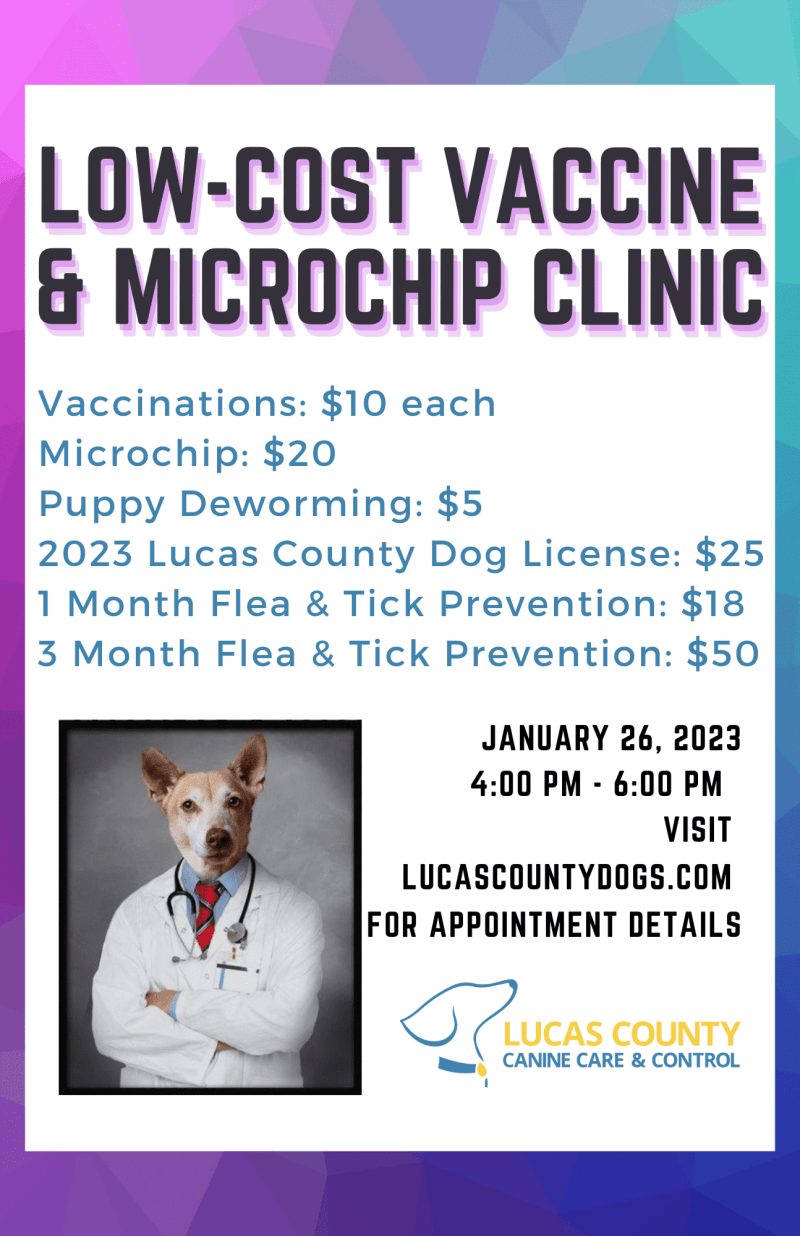 Dog Bordetella Vaccine Near Me