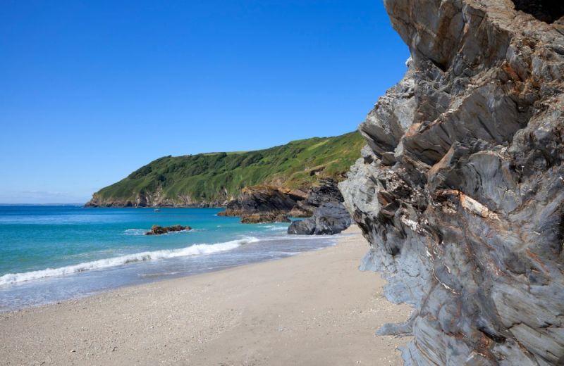 Dog Friendly Beaches East Devon