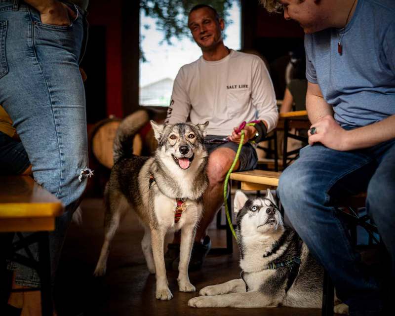 Dog Friendly Breweries And Wineries Near Me