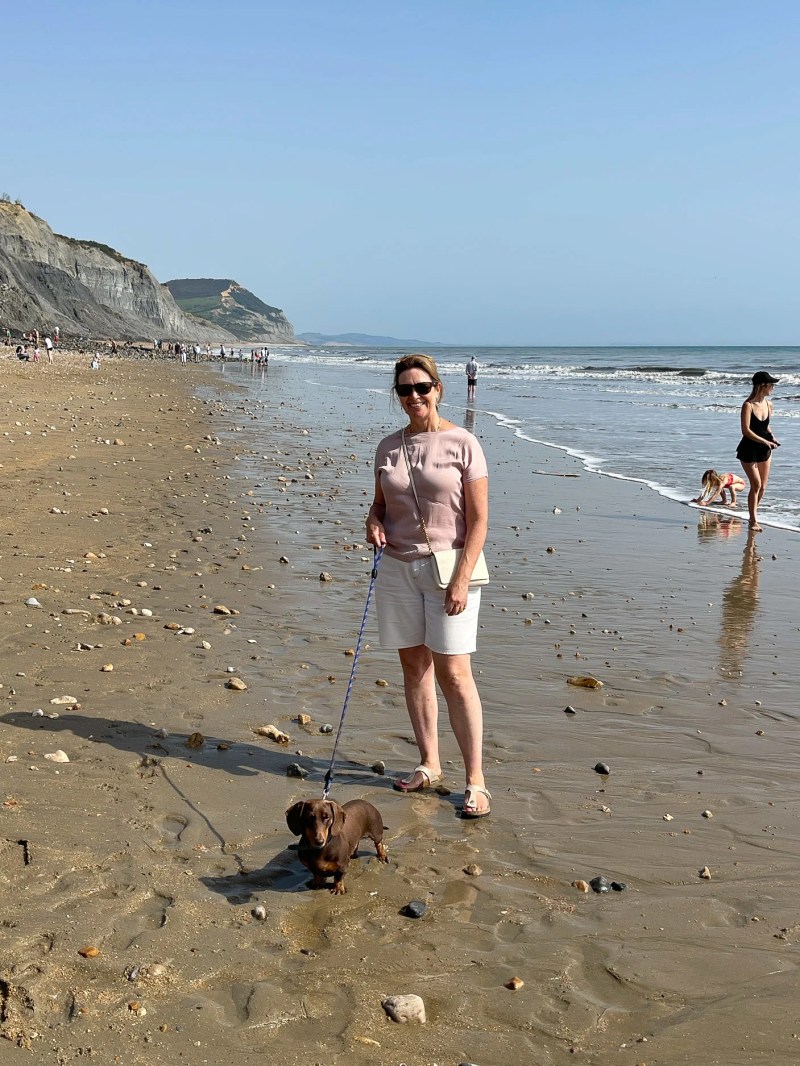 Dog Friendly Holidays Devon And Dorset