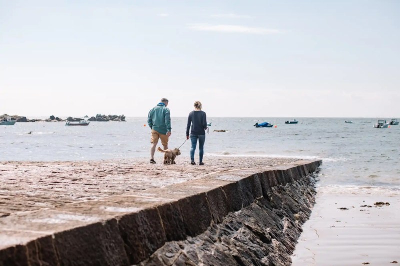 Dog Friendly Holidays To Jersey