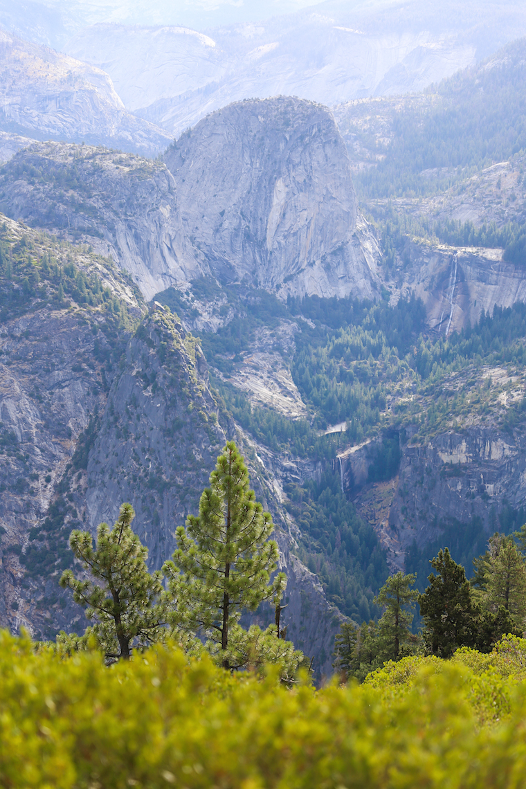 Dog Friendly Lodging Yosemite