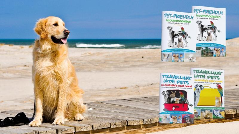 Dog Friendly Places To Stay East Coast