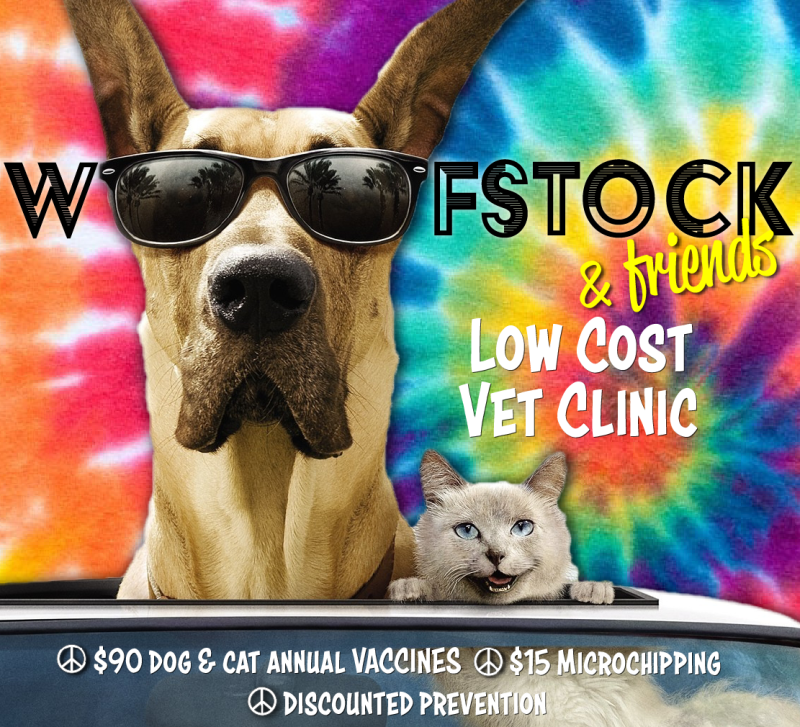 Dog Vaccines Near Me Cheap