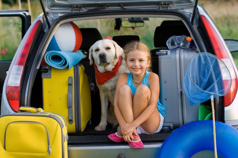 Fun Vacations To Take With Your Dog