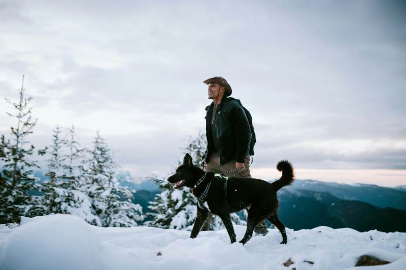 Hiking Vacations With Dogs