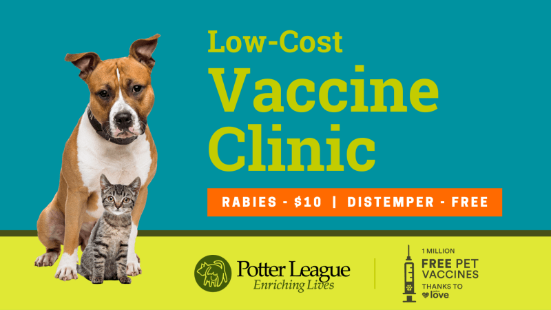 Inexpensive Dog Vaccinations Near Me