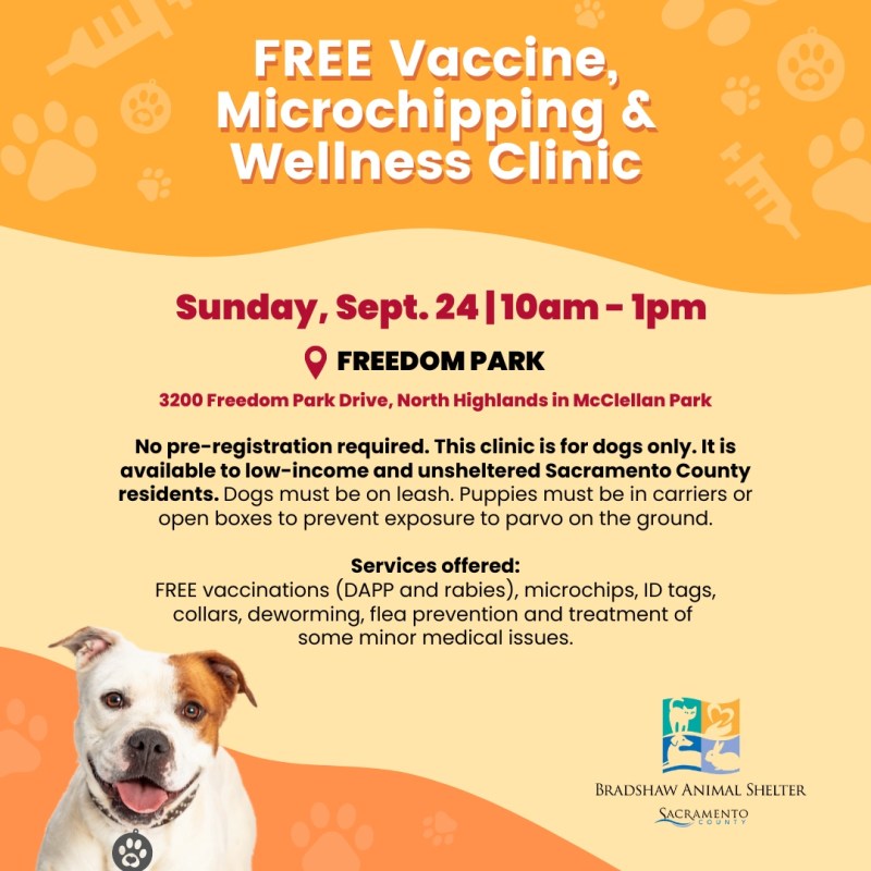 Puppy Vaccines Near Me Low Cost