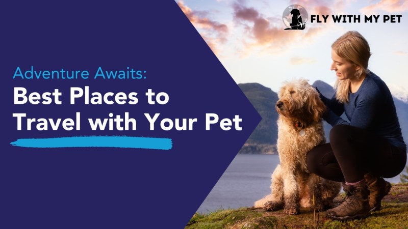 Vacation Spots Near Me Dog Friendly