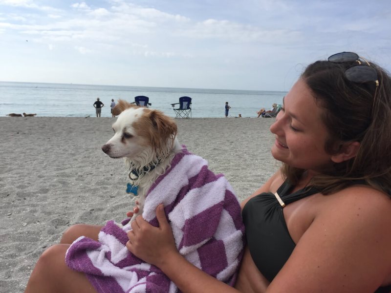 Best Dog Friendly Beaches In Florida