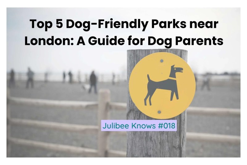 Best Dog Friendly Locations Uk