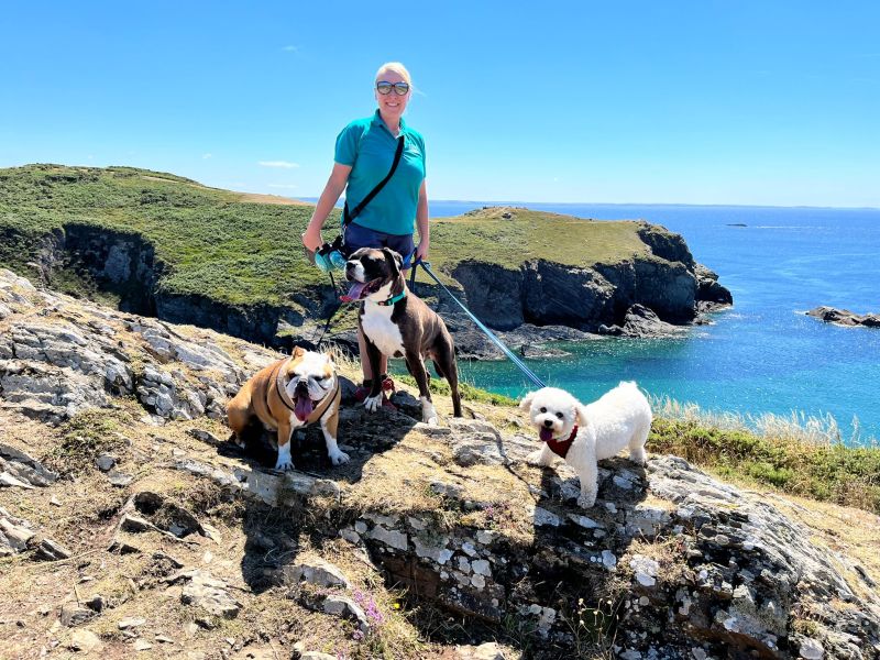 Dog Friendly Holidays Pembrokeshire