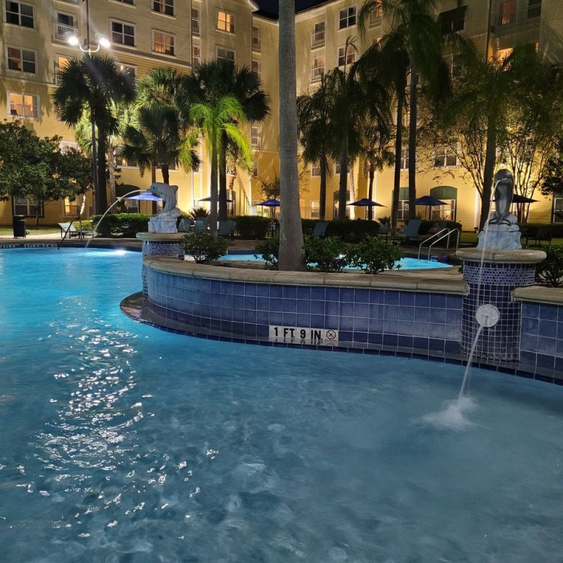 Dog Friendly Hotel Near Kissimmee Fl