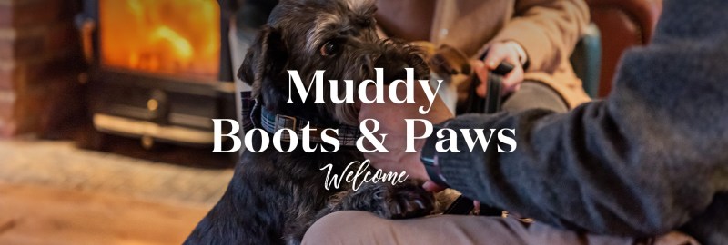 Dog Friendly Pubs Near Me Open Now