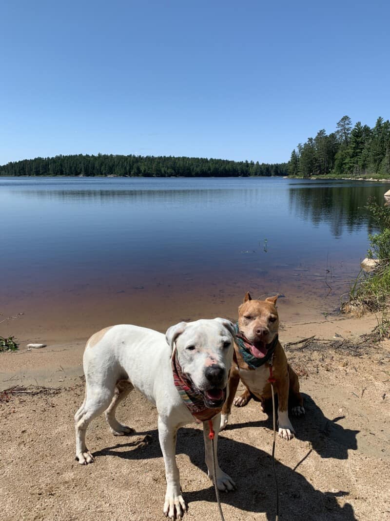 Dog Friendly Resorts Mn