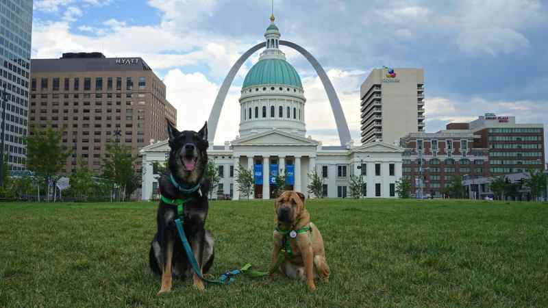 Dog Friendly Vacations In Missouri