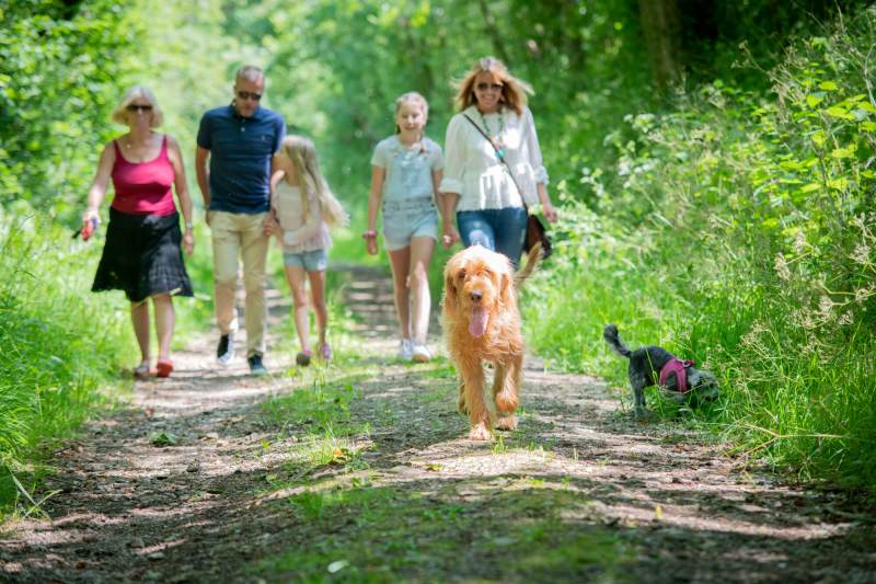 Getaways With Dogs Uk