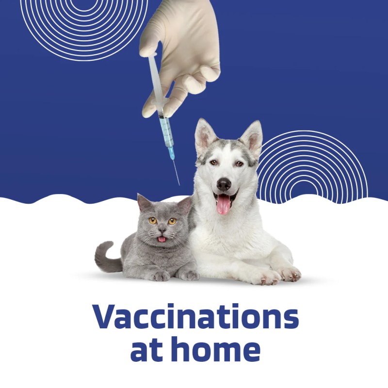 Puppy Vaccines Near Me Free